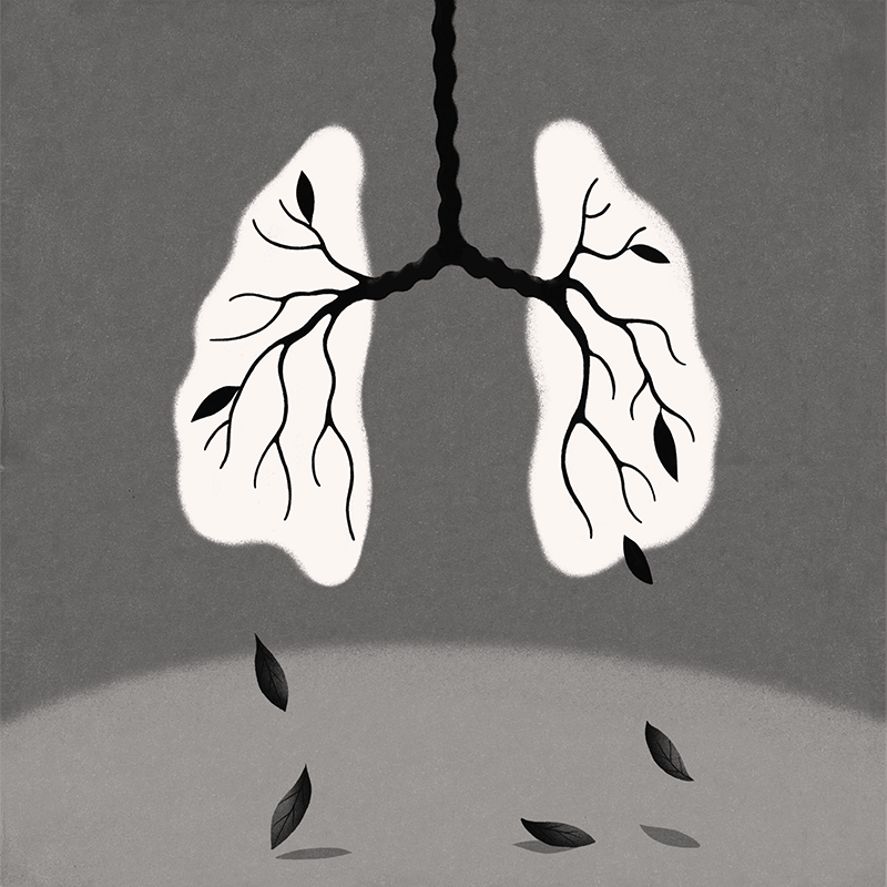 Illustration of lungs with tree branches inside and leaves falling off the branches